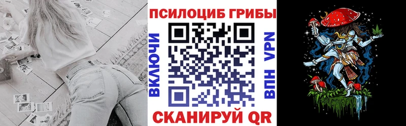 Галлюциногенные грибы мицелий  дарнет шоп  Усть-Илимск 